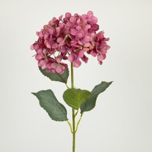 ΛΟΥΛΟΥΔΙ/ΚΛΑΔΙ, ΥΔΡΑΓΓΕΙΑ, ΜΩΒ, 77cm