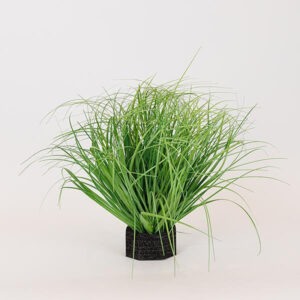 ΦΥΤΟ ΓΡΑΣΙΔΙ ΠΛΑΣΤΙΚΟ 35cm