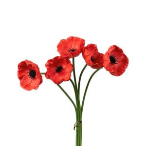 ΜΠΟΥΚΕΤΟ FOAM ΠΑΠΑΡΟΥΝΑ ΚΟΚΚΙΝΟ 30cm