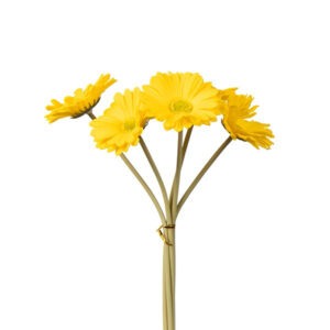 ΜΠΟΥΚΕΤΟ FOAM ΚΙΤΡΙΝΟ 30cm